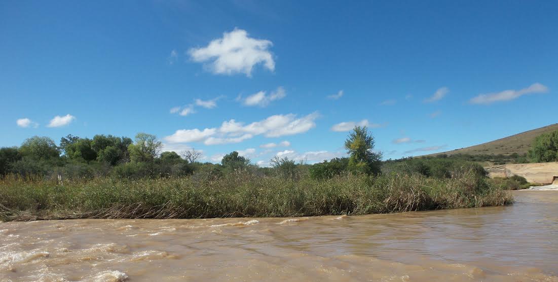 The Fish River runs through Cradock, but the town faces a water crisis GroundUp